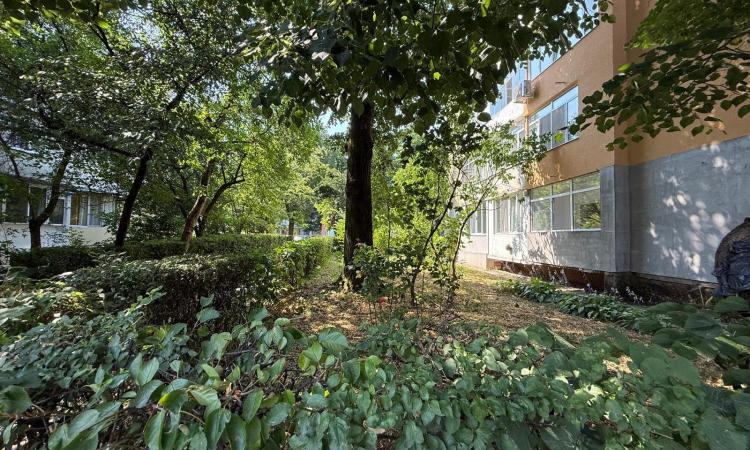 Garsoniera , Cosbuc zona Carrefour , parter