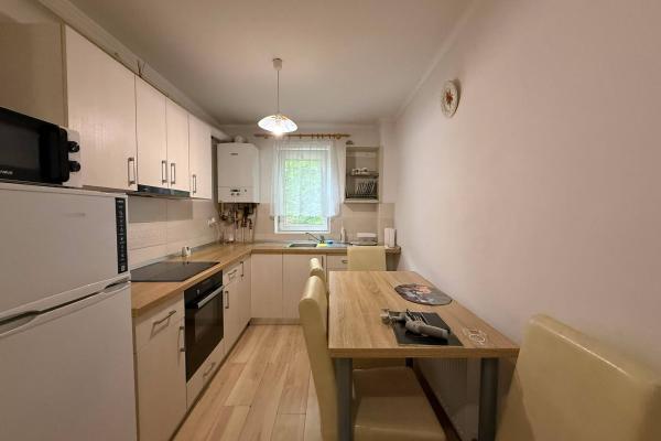 Apartament 2 camere,Victor Babes zona Iuliu Maniu , parter înalt