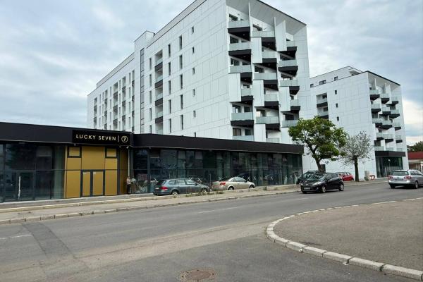 Apartament 4 camere,Vasile Alecsandri, zona Shopping Park, parter înalt