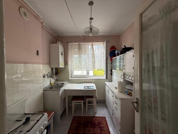 Apartament 2 camere , ultracentral , zona Bizo