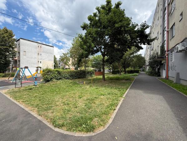 Apartament 2 camere , ultracentral , zona Bizo