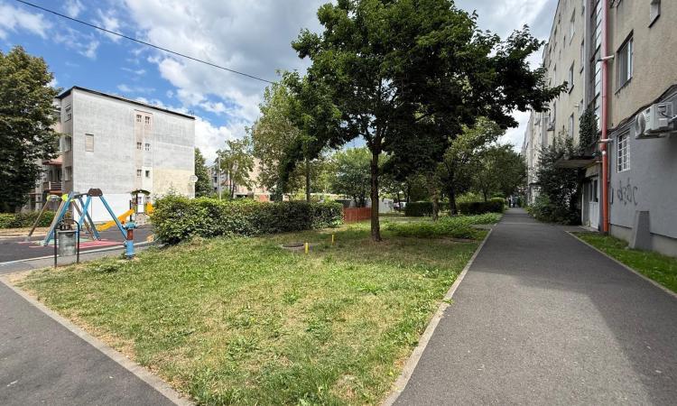 Apartament 2 camere , ultracentral , zona Bizo