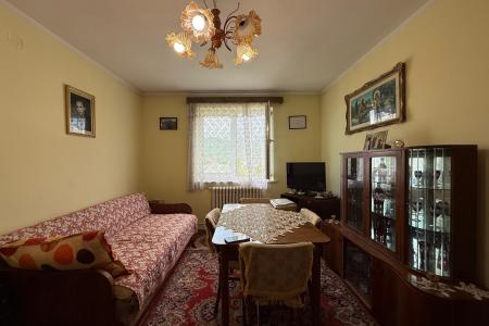Apartament 2 camere , ultracentral , zona Bizo