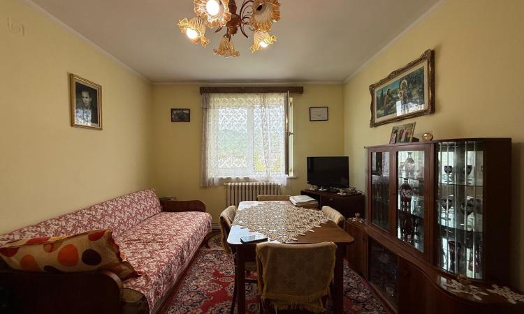 Apartament 2 camere , ultracentral , zona Bizo