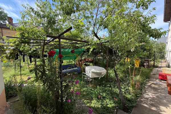 Apartament 3 camere cu teren, zona PARC/Hollosi Simon
