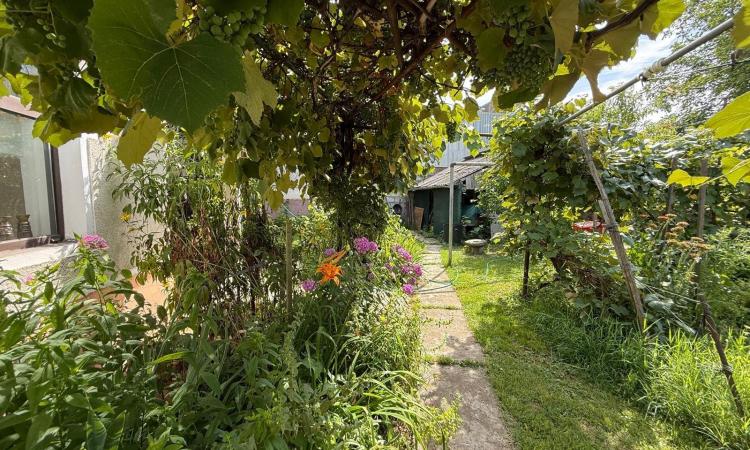 Apartament 3 camere cu teren, zona PARC/Hollosi Simon