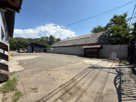 Hală industrială de vânzare sau închiriere Tăuții de Sus | 220 mp | Teren 11 ari | Acces TIR