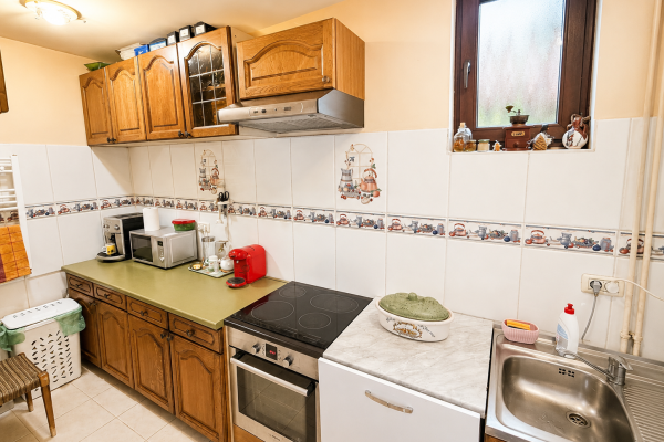 Casa individuala P+1 ,Baia Mare ,638 mp teren ,zona Vasile Lucaciu