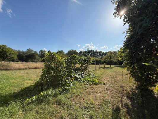 Casă individuală Satu Nou de Sus 7 min de Baia Mare ,38 ari teren