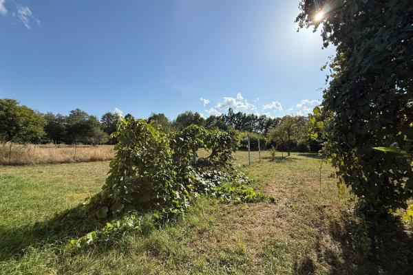 Casă individuală Satu Nou de Sus 7 min de Baia Mare ,38 ari teren