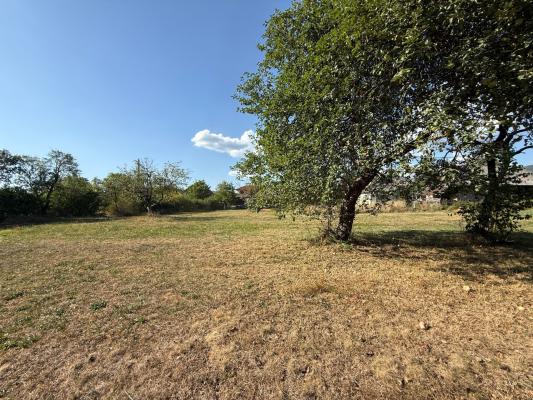 Casă individuală Satu Nou de Sus 7 min de Baia Mare ,38 ari teren