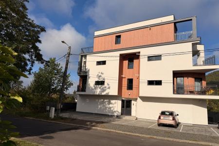 Apartament 3 camere parter cu gradina privata zona Grivitei