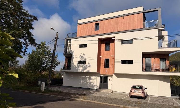 Apartament 3 camere parter cu gradina privata zona Grivitei