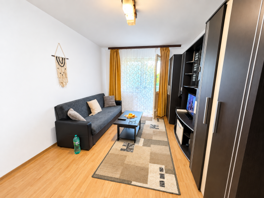 Apartament 2 Camere – Etaj 3, Str. Victor Babes, Vivo Mall