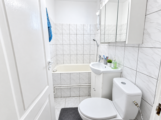 Apartament 2 Camere – Etaj 3, Str. Victor Babes, Vivo Mall