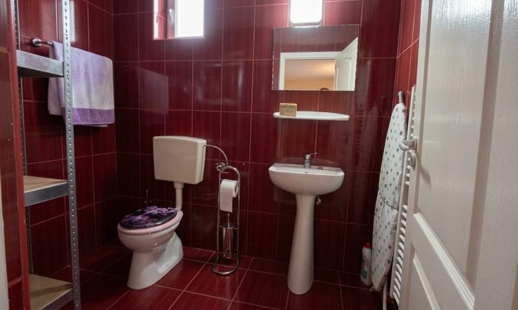 Apartament 3 camere, cu gradina, zona Lamaitei