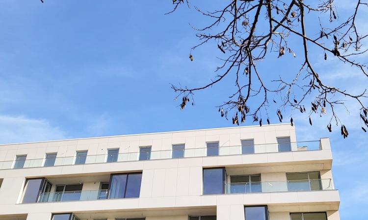 Bucurestii Noi - Straulesti - Sisesti - 3 camere LUX 161 mpc - 2025