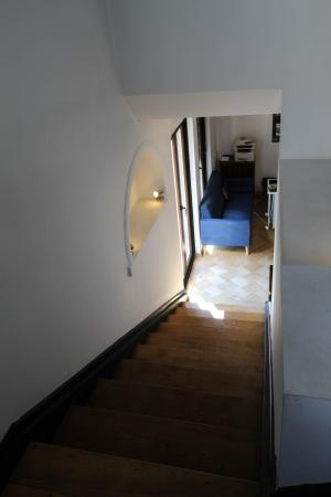 Curte proprie. Stylish. Comercial&Office