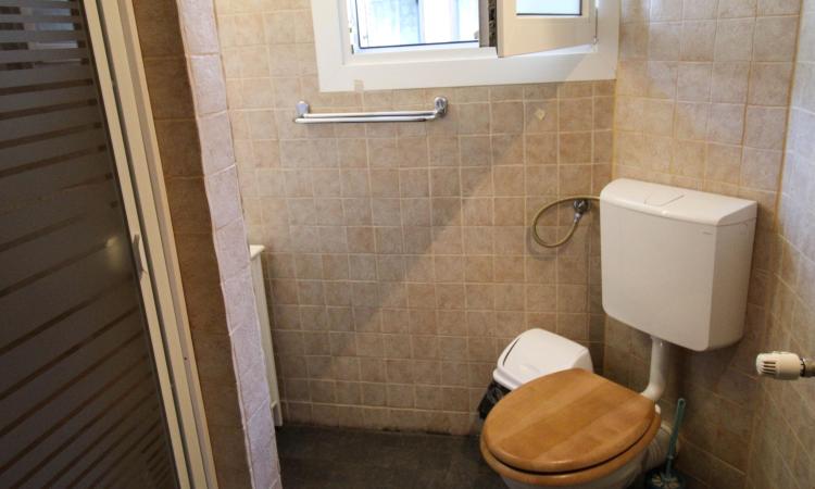 Curte proprie. Stylish. Comercial&Office