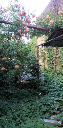 Casa mica cu o curte superba- Unirii