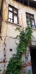 Casa mica cu o curte superba- Unirii