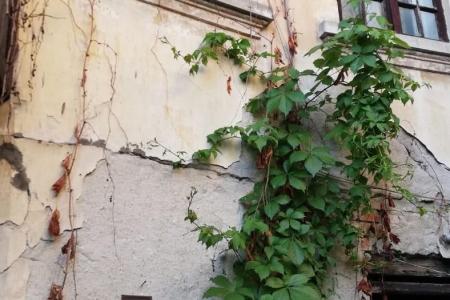 Casa mica cu o curte superba- Unirii