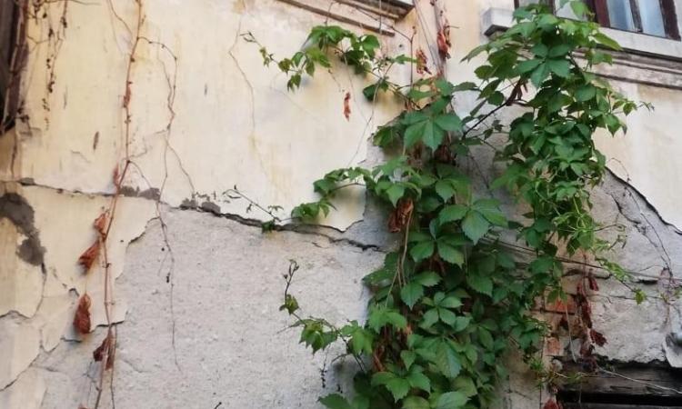 Casa mica cu o curte superba- Unirii