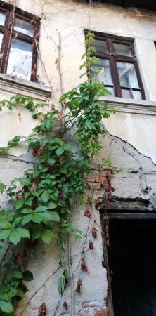 Casa mica cu o curte superba- Unirii