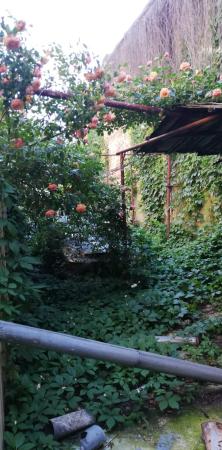 Casa mica cu o curte superba- Unirii