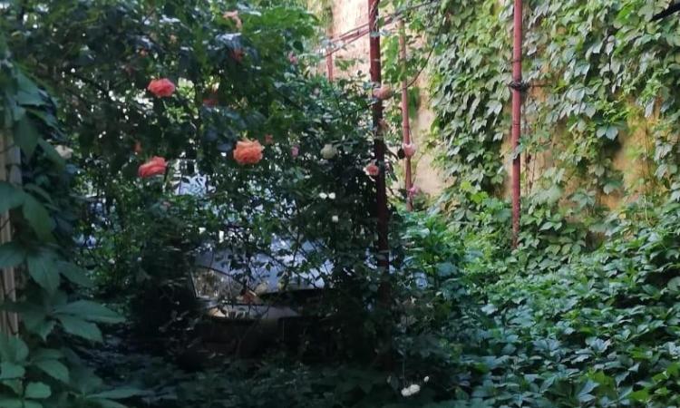 Casa mica cu o curte superba- Unirii