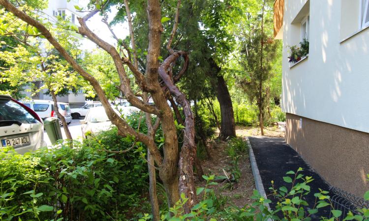 Bloc anvelopat. 2 camere, etaj 4- Baneasa