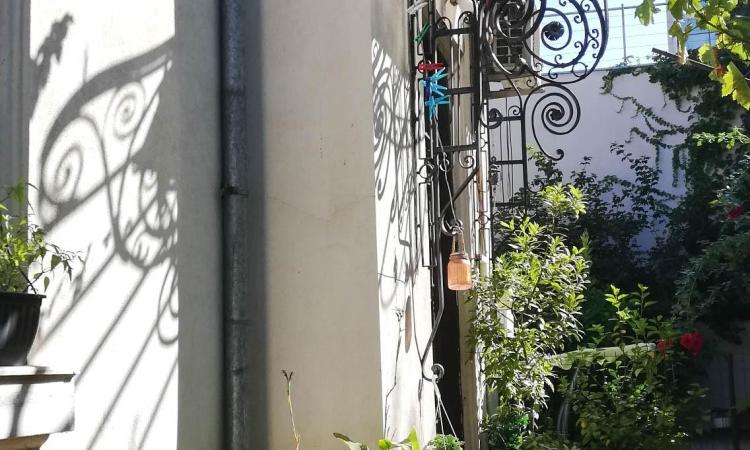 Curte frumoasa. Vila cu potential. Floreasca