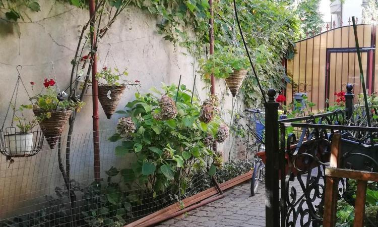 Curte frumoasa. Vila cu potential. Floreasca