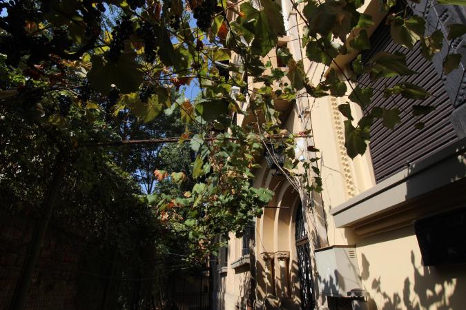Apartament in vila. Casin. Oportunitate investitionala