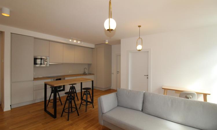 Carmen Sylva Apartment with parking lot. New. 2 rooms for rent- 1st floor