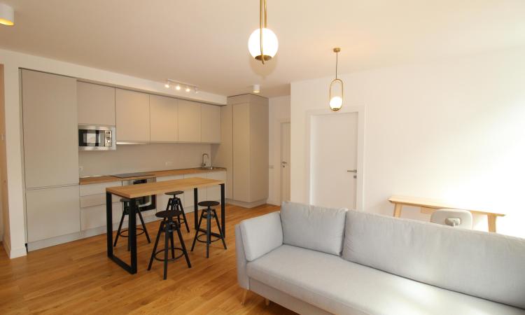 Carmen Sylva Apartment with parking lot. New. 2 rooms for rent- 1st floor