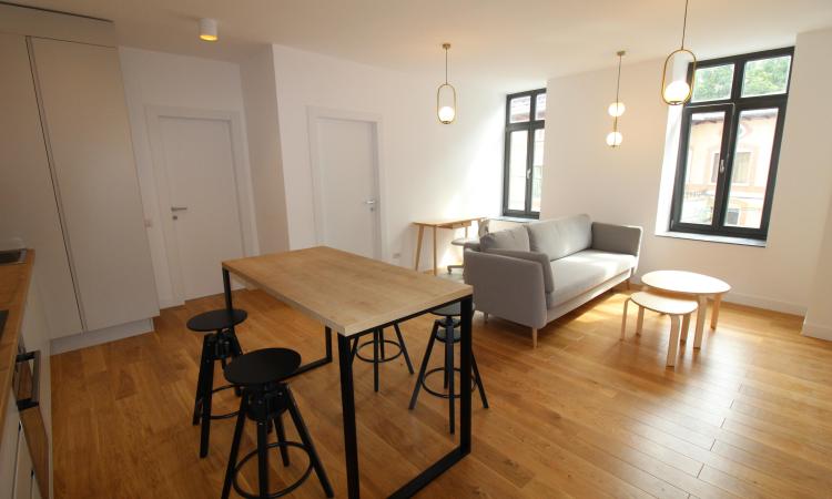 Carmen Sylva Apartment with parking lot. New. 2 rooms for rent- 1st floor