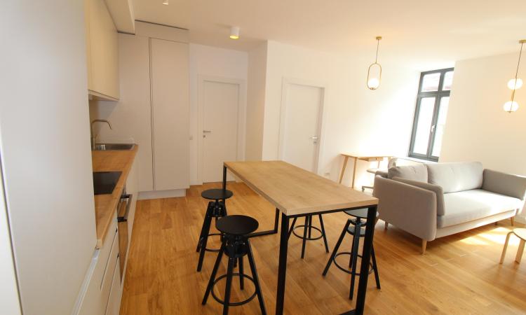 Carmen Sylva Apartment with parking lot. New. 2 rooms for rent- 1st floor