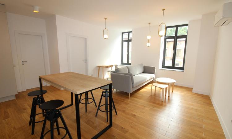 Carmen Sylva Apartment with parking lot. New. 2 rooms for rent- 1st floor