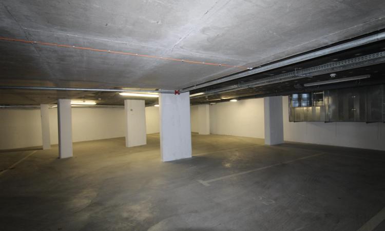 Carmen Sylva Apartment with parking lot. New. 2 rooms for rent- 1st floor