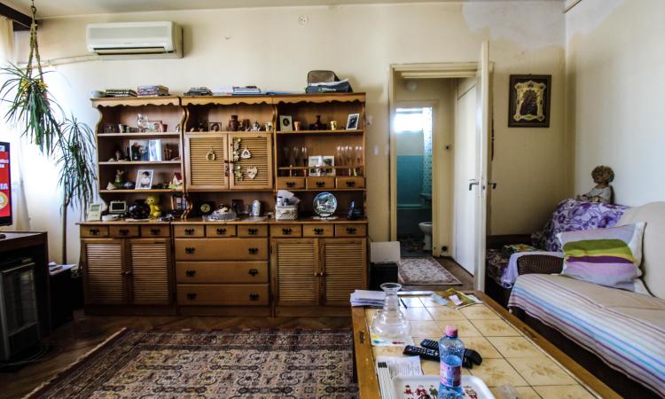 2 camere.Ion Mihalache