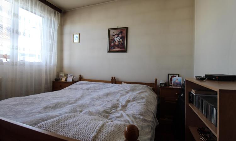 2 camere.Ion Mihalache