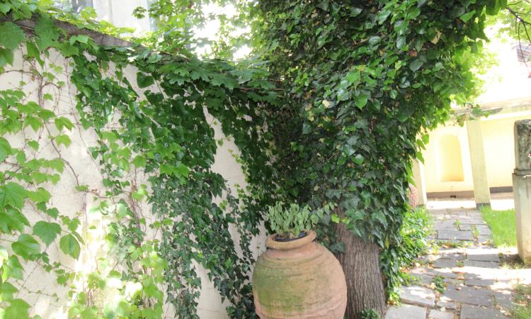 Parter. Curte in proprietate. Zona Capitale