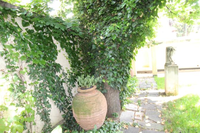 Parter. Curte in proprietate. Zona Capitale