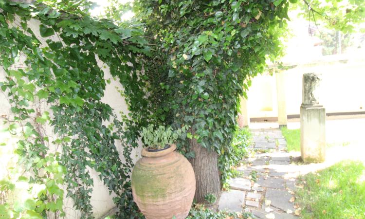 Parter. Curte in proprietate. Zona Capitale