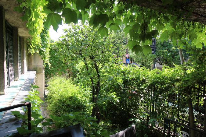 Parter. Curte in proprietate. Zona Capitale