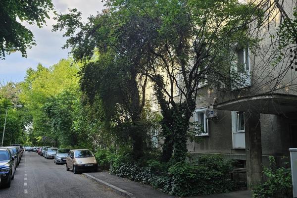 Floreasca - str Chopin -2 camere renovat complet - cu terasa&view