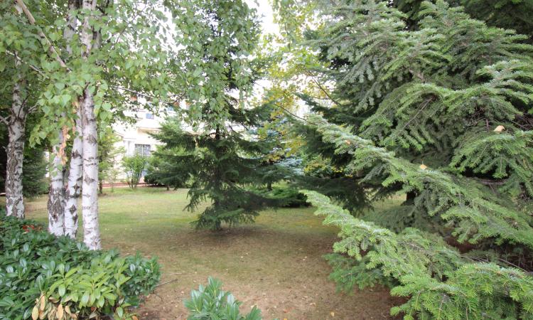 Sediu comercial perfect pentru clinica medicala, spital privat sau camin de batrani