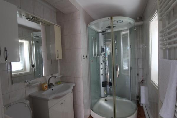 Ciolpani casa singur curte cu vegetatie superba. 37 minute de Bucuresti