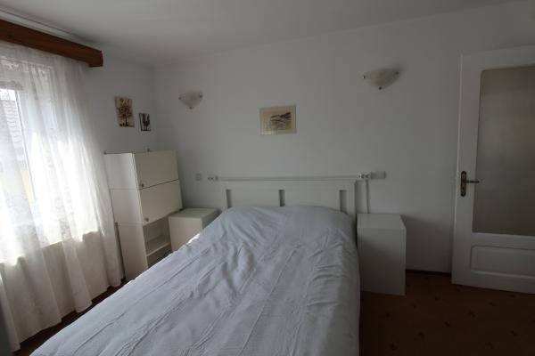 Ciolpani casa singur curte cu vegetatie superba. 37 minute de Bucuresti